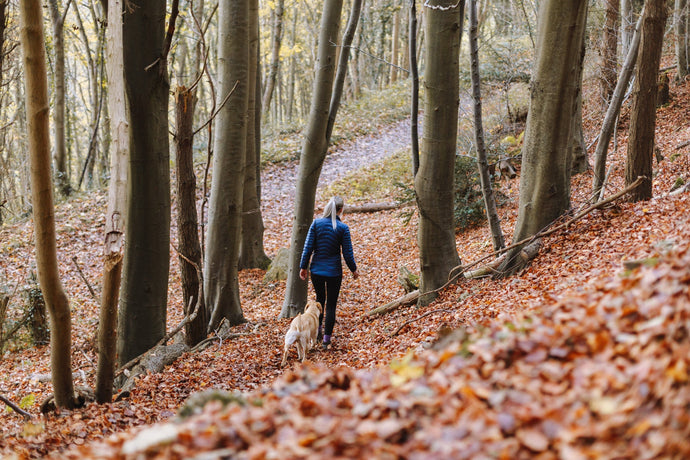 Fall Into Fitness: Boost Your Health with Outdoor Activities