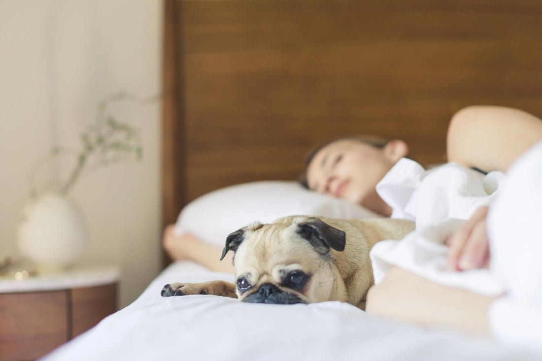 The-Power-of-Sleep-How-Sleep-Deprivation-Affects-Your-Health-Metabolism-Mood-and-Overall-Well-Being Loriet Sports
