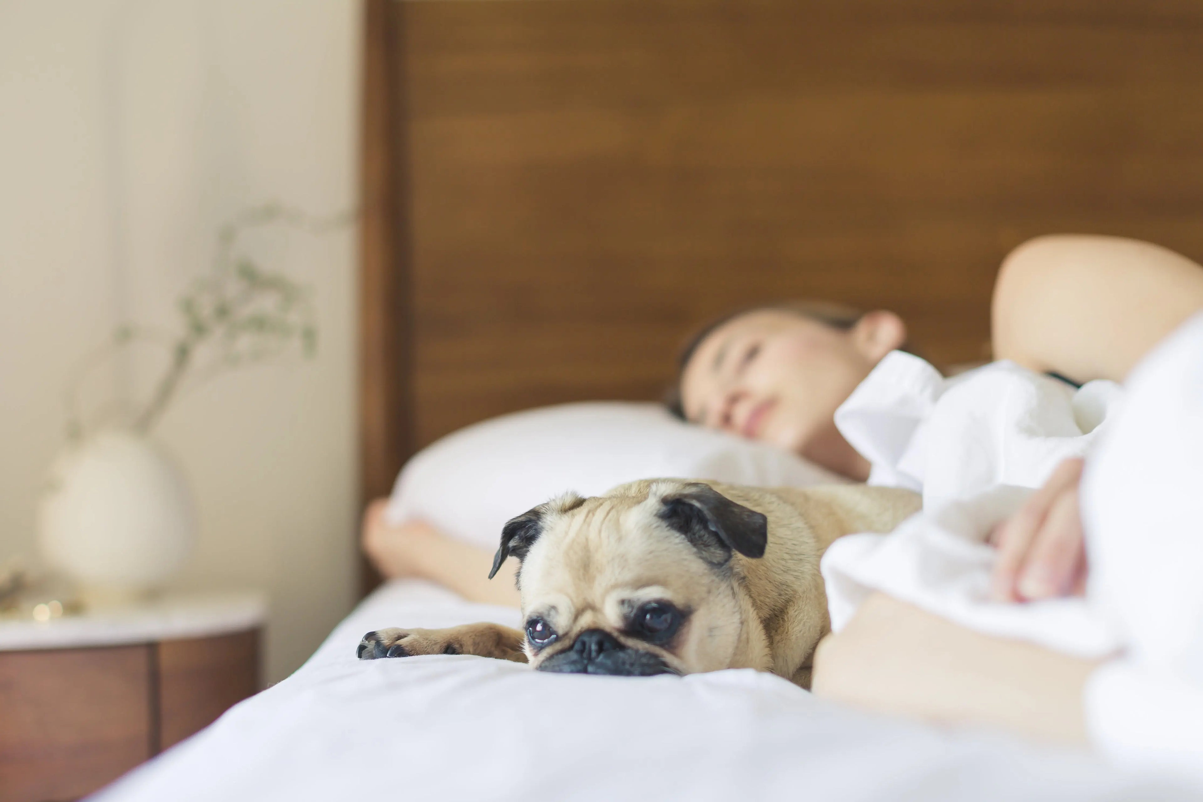 The-Power-of-Sleep-How-Sleep-Deprivation-Affects-Your-Health-Metabolism-Mood-and-Overall-Well-Being Loriet Sports