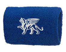 Load image into Gallery viewer, Pro Team Lion Logo Wristbands Pair - Loriet Activewear
