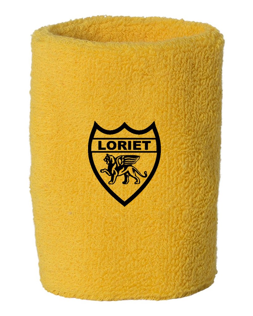 Gold Lion Kit - Boys - Loriet Activewear